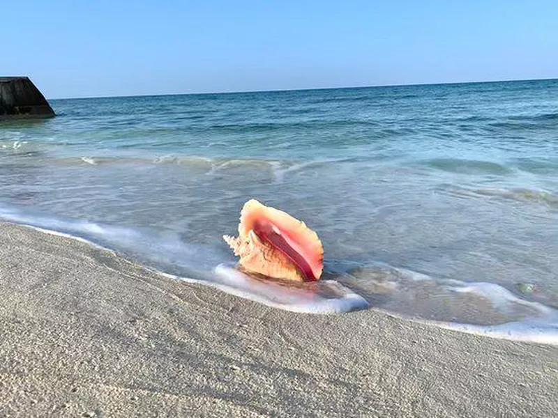 North Bay Beach in Salt Cay, Turks and Caicos