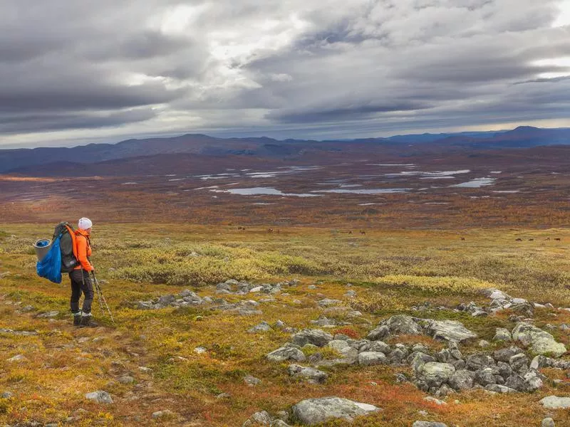 Sarek National Park