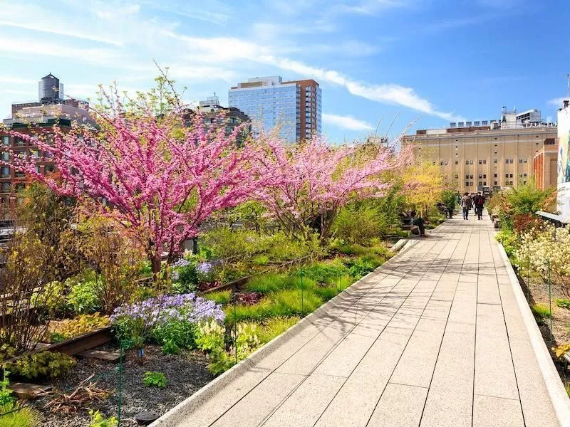 High Line