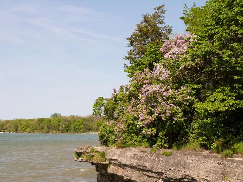 Lake Erie Overlook