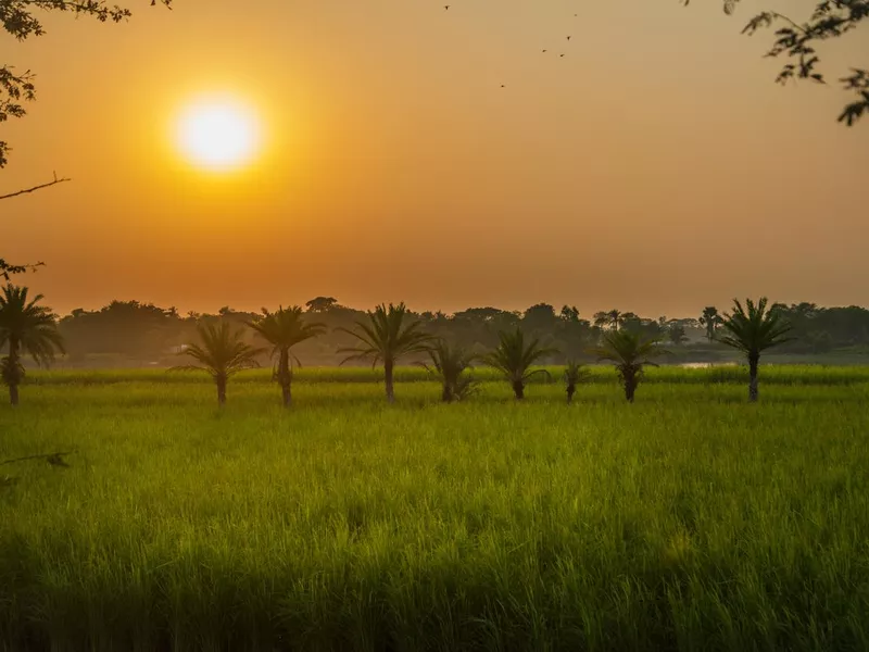 Sunset on the Batiaghata in Khulna, Bangladesh