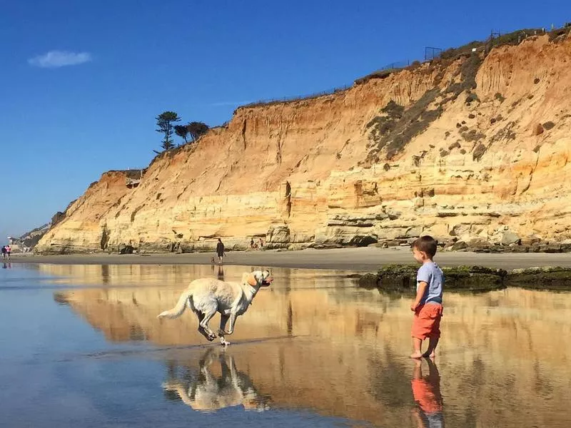 Kid and dog playing in Del Mar beach, California