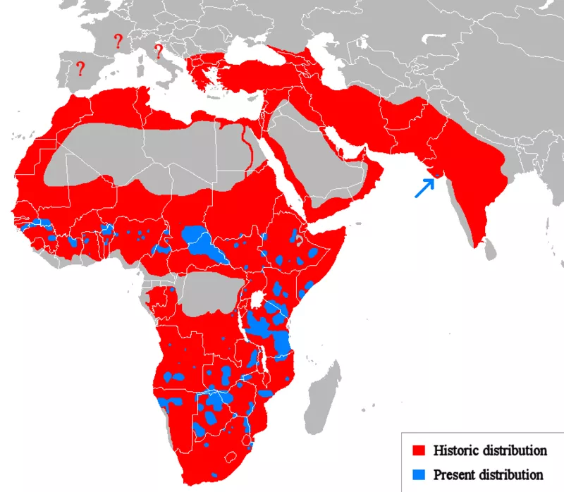 Map of World: Africa