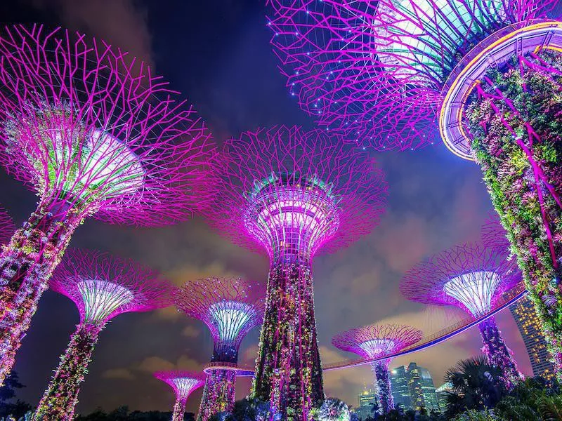 Gardens by the Bay