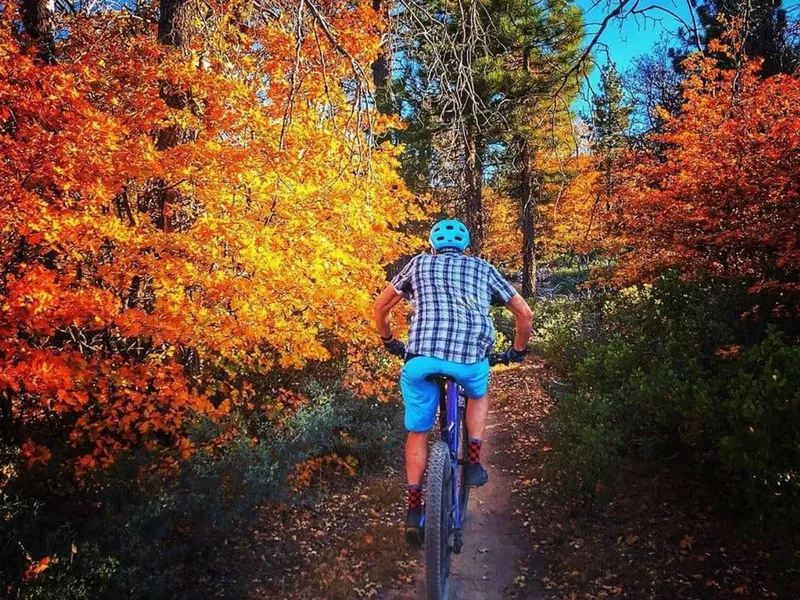 Big Bear Lake biking