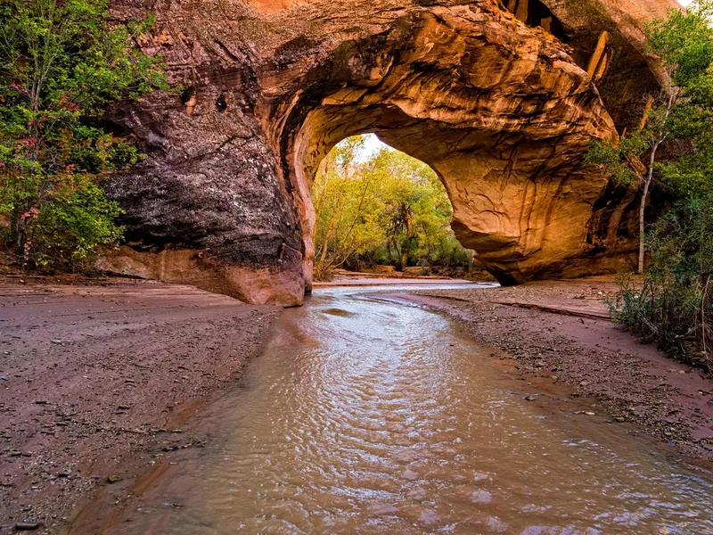 Coyote Natural Bridge in Escalante, Utah