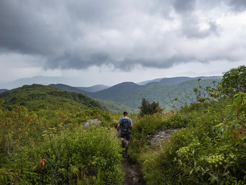 Pisgah National Forest near Brevard, North Carolina