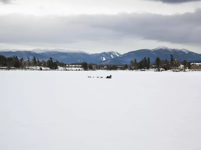 Dog Sledding on Lake Placid