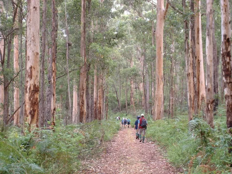 Bibbulmun Track