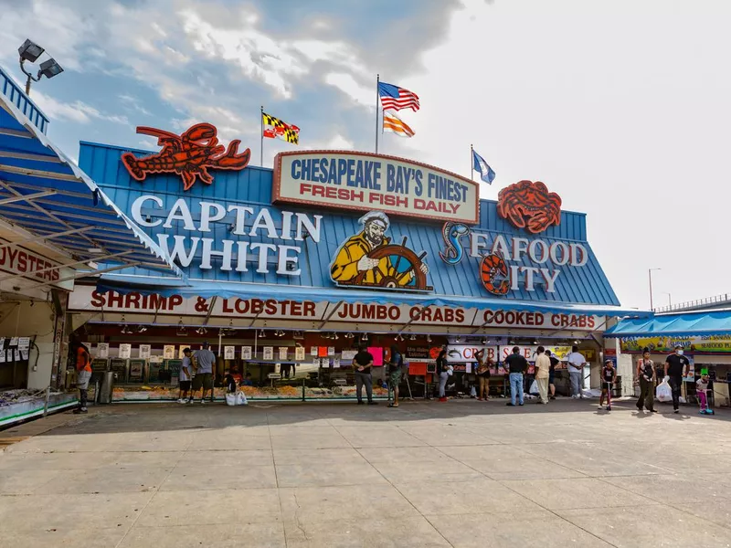 Municipal Fish Market at the District Wharf