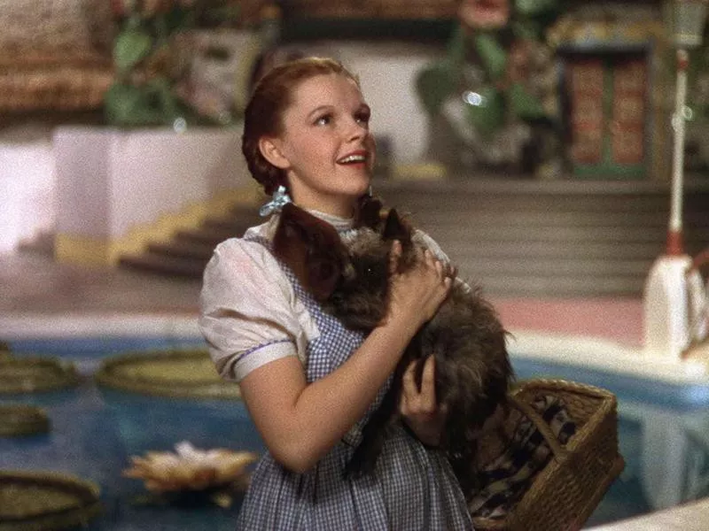 Kansas: ‘The Wizard of Oz’