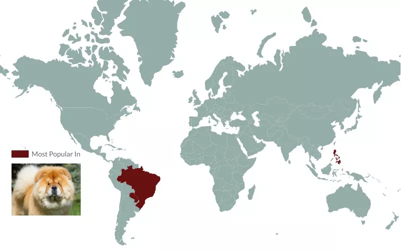 Chow Chows preference map