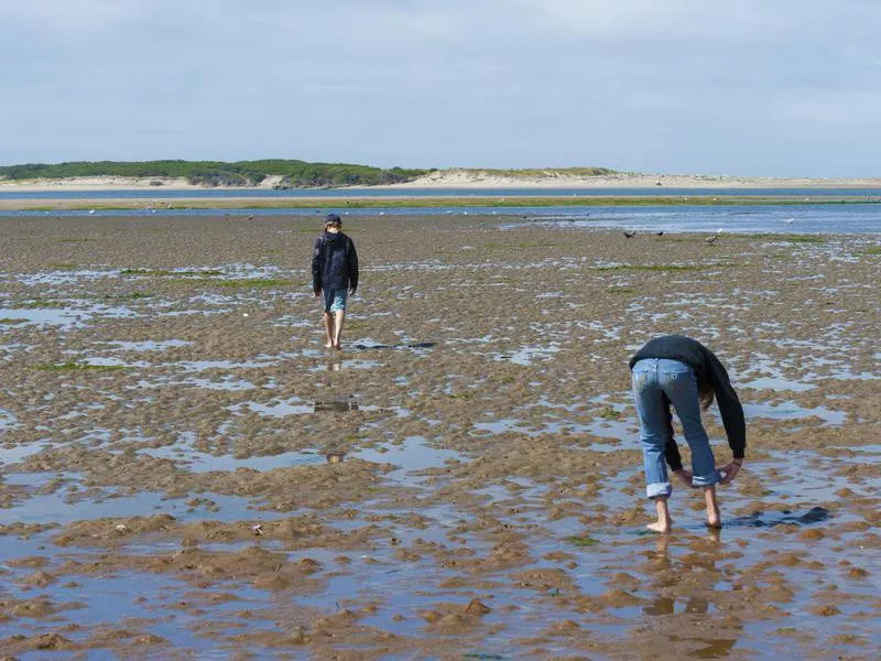 People picking up sea glass in Lincoln City