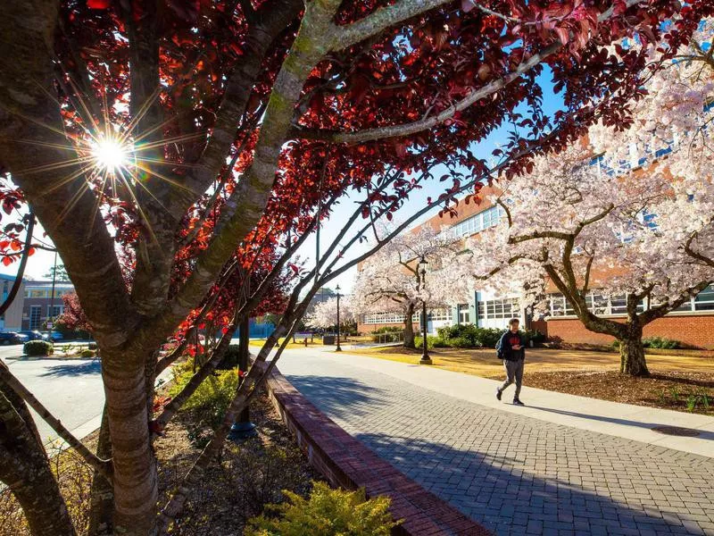 Student in East Carolina University