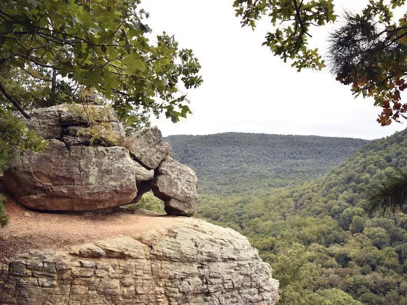 Whitaker Point