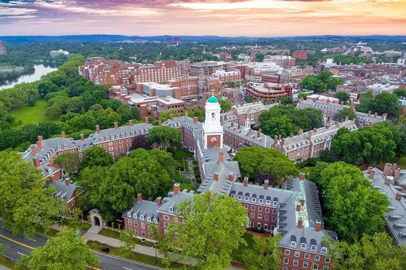 Harvard University