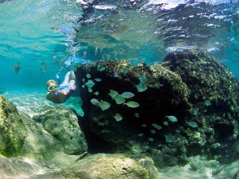 Woman snorkeling in Mabibi