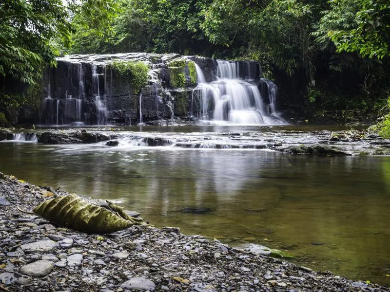 Amazon Rainforest