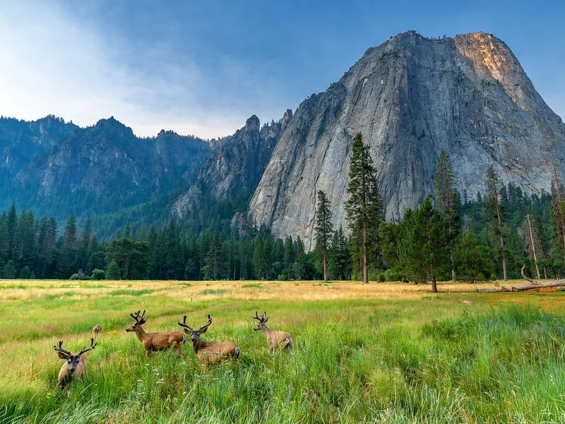 Yosemite National Park