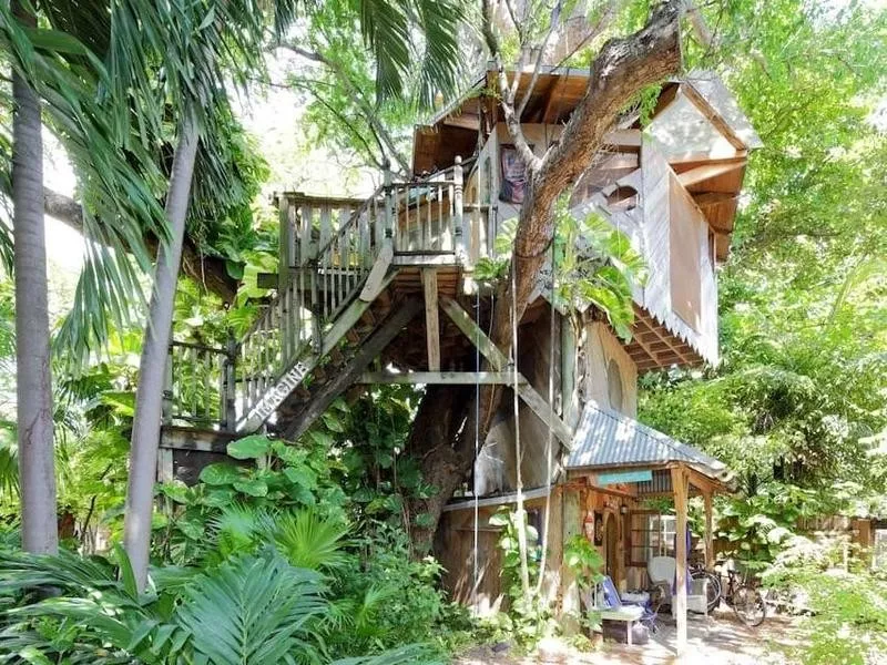 miami treehouse