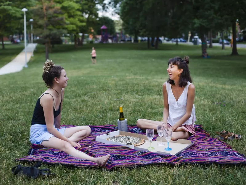 Picnic with wine