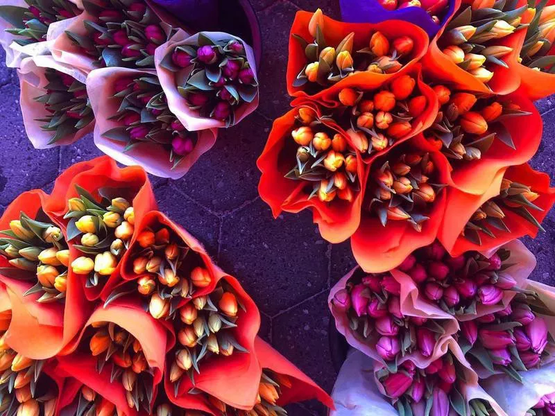 Flowers at the Union Square Greenmarket