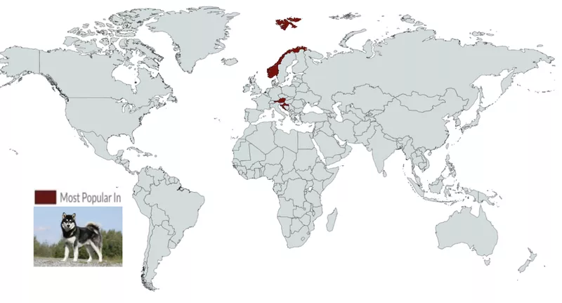 Malamute map