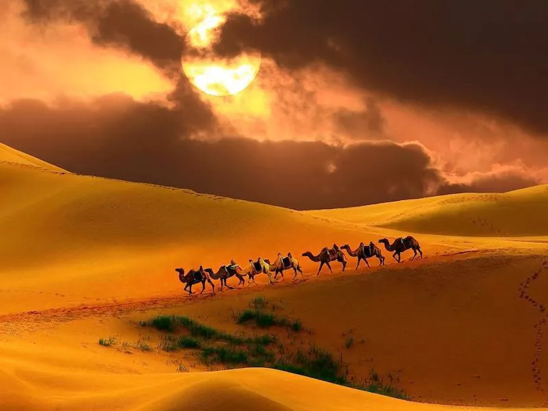 Gobi Desert