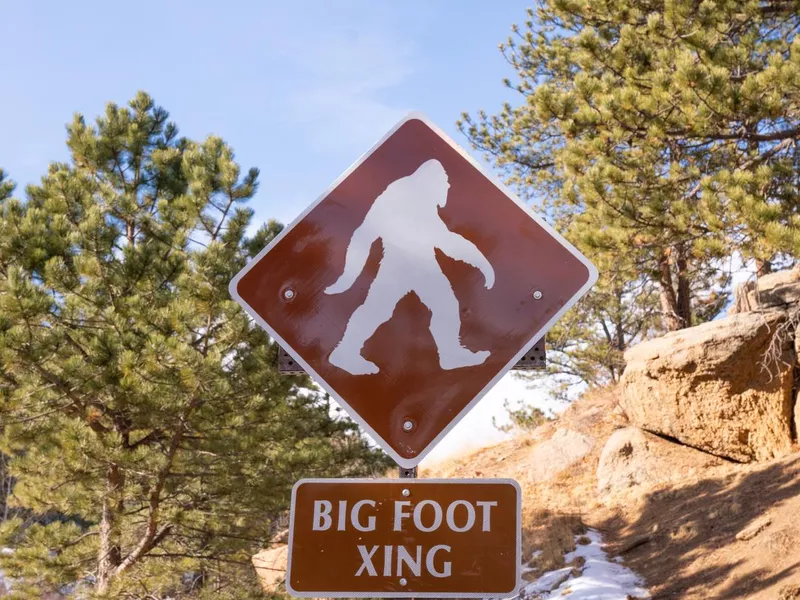 Big foot crossing sign