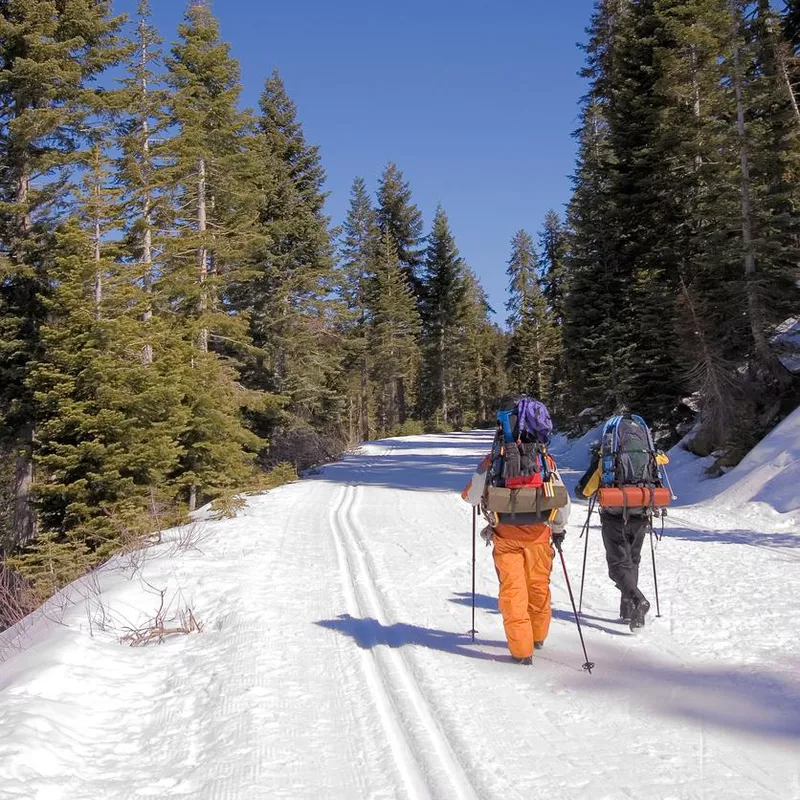 Cross-Country skiers in Yosemite