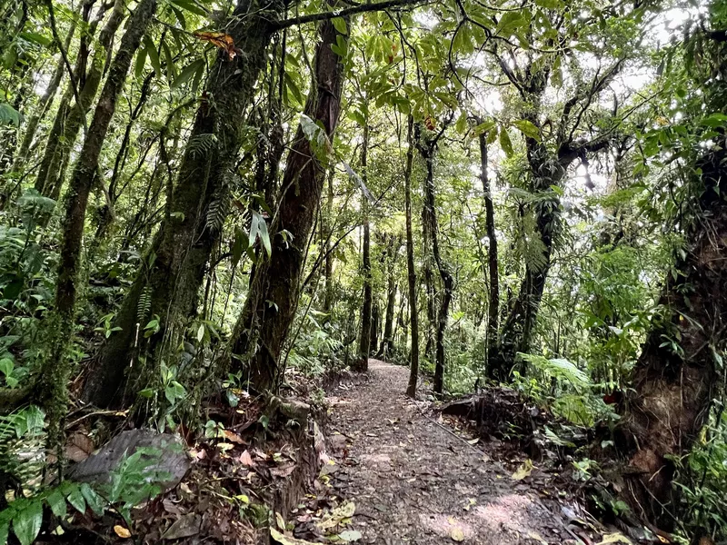 Monteverde Cloud Forest Biological Reserve