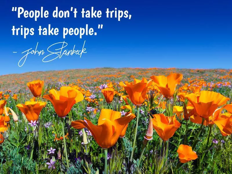 John Steinbeck quote