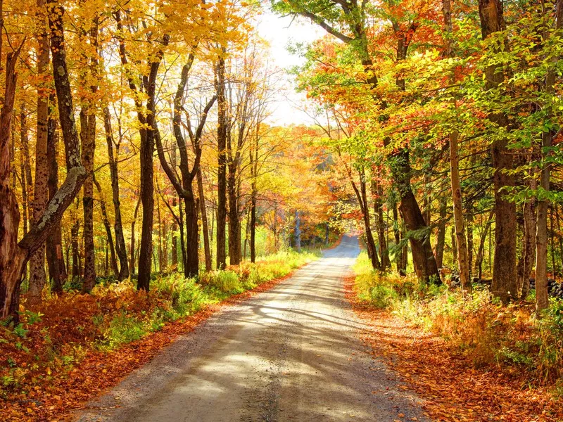 Autumn in the Hilltowns of Massachusetts