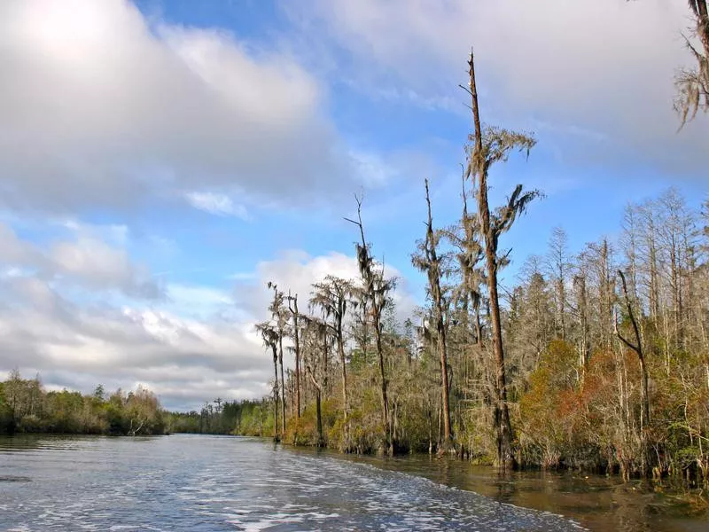 Stephen C. Foster State Park