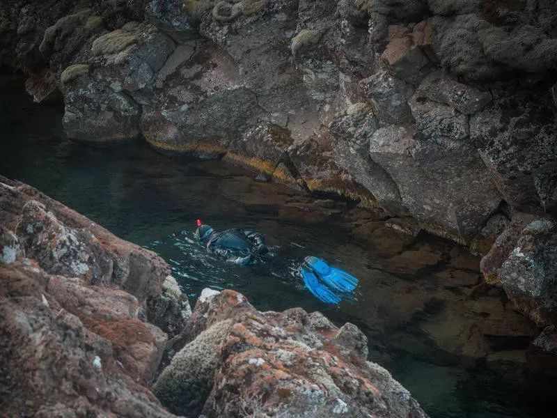 Snorkeling Between Continental Plates in Iceland