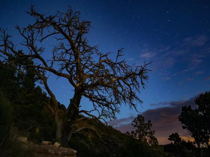 Mesa Verde National Park