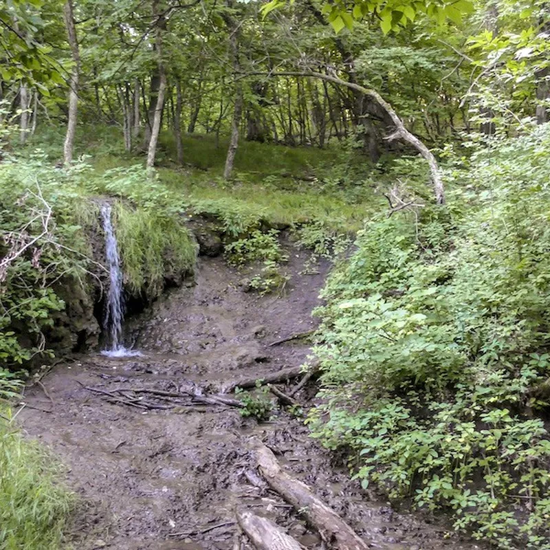 Mineral Springs Falls North Dakota