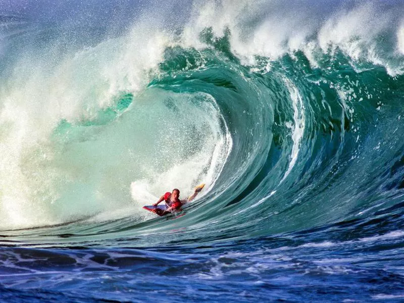 haleiwa surfing