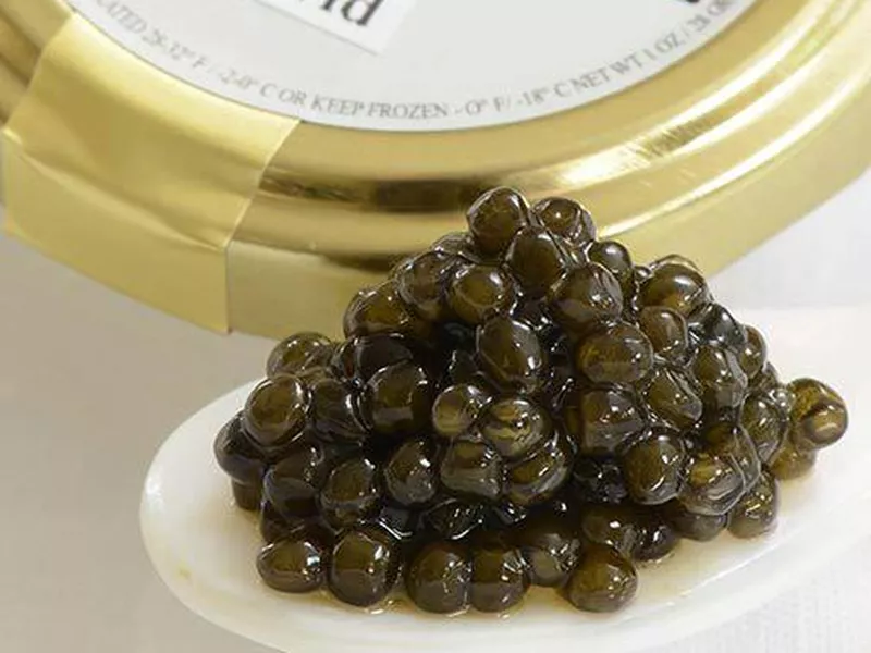 Beluga Caviar