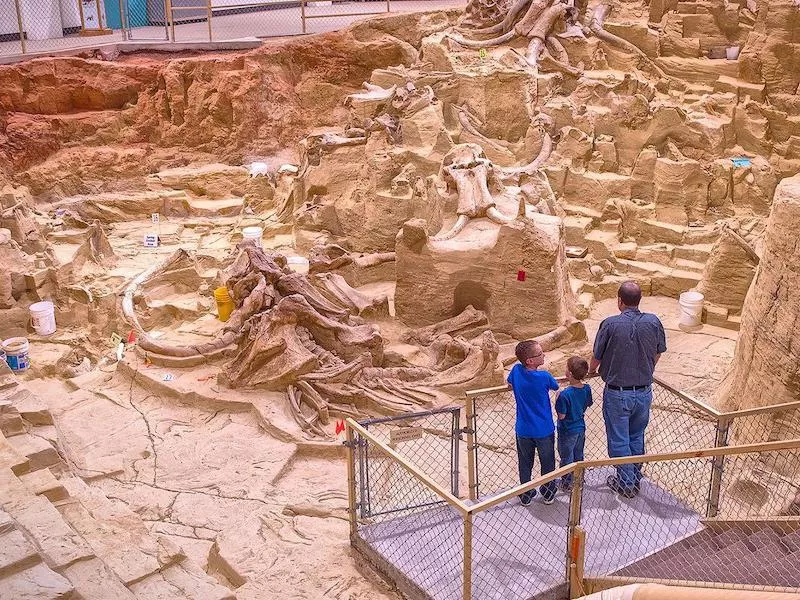 Mammoth Site & Museum