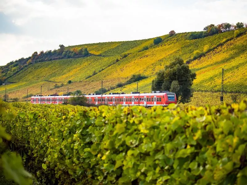 Rhine Valley Line