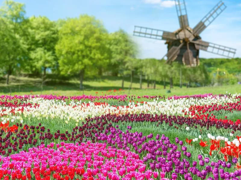 Keukenhof Park