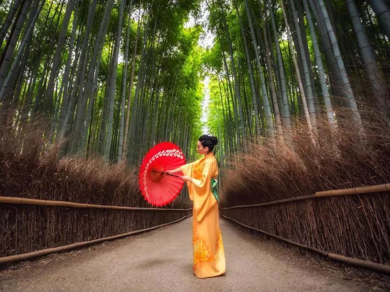 Arashiyama Bamboo Forest