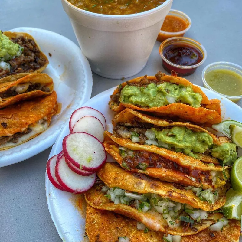 Tacos y Birria La Única