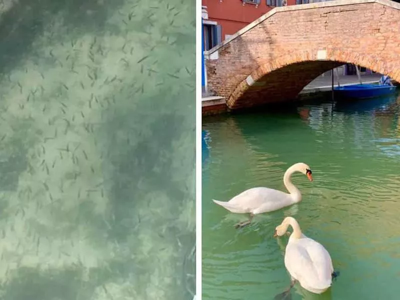 Venice canals clean