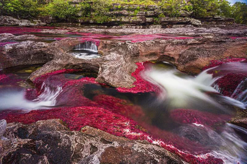 Cano Cristales, Colombia