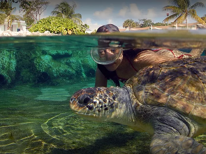 Cayman Turtle Centre