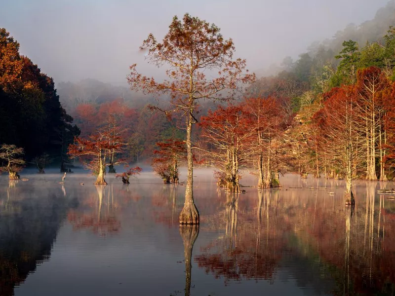 Beavers Bend State Park, Broken Bow, OK