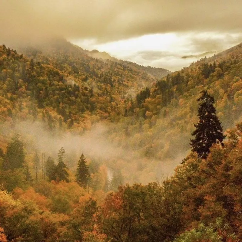 Great Smoky Mountain