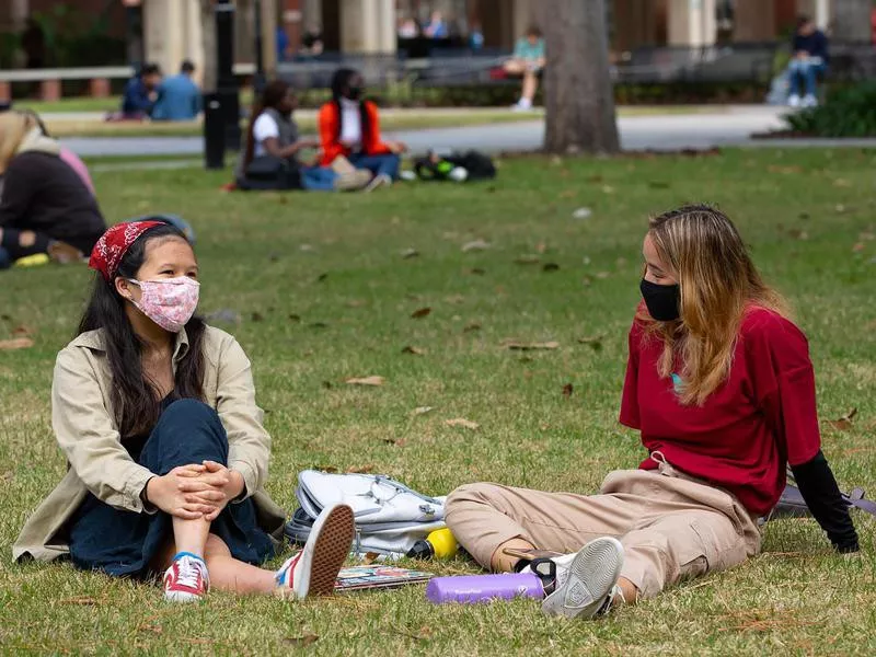 Students at University of Florida